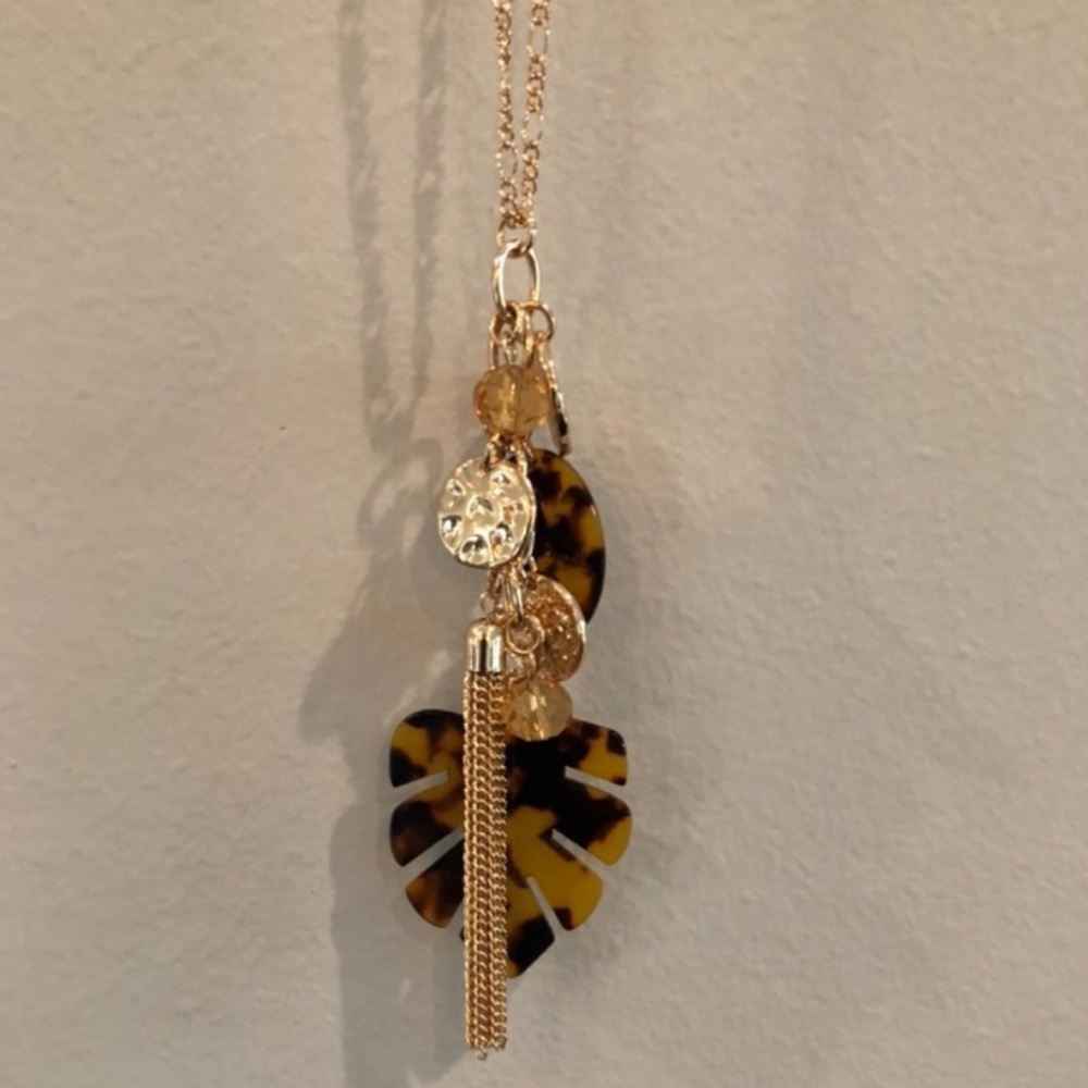 Long Necklace with Earrings